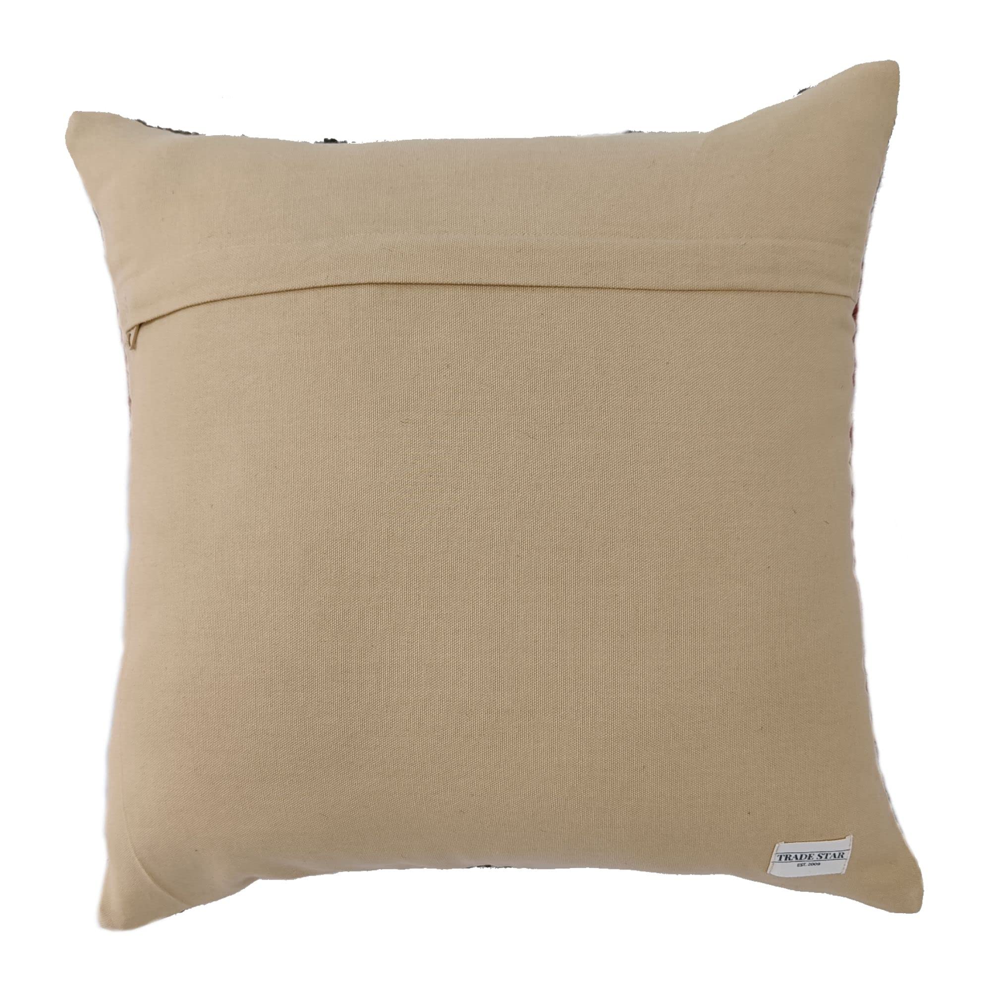 Trade Star Handwoven Square Kilim Pillow Cover Authentic Wool Jute Throw Pillow Case Decorative Outdoor Cushion Cover Rustic Boho Pillow Cover for Home Decor - Image 5